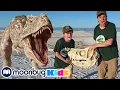 Download Lagu Giant T-Rex Dinosaur vs Park Rangers | BEST OF @TRexRanch | Explore With Me!