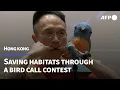 Download Lagu Bird call contest seeks to boost conservation awareness in Hong Kong | AFP