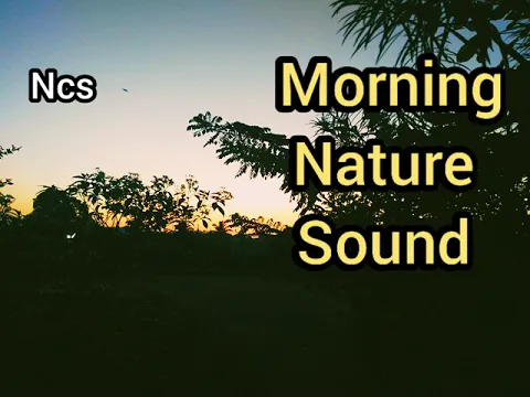 Download MP3 Morning Sound | No Copyright Sounds | Free Sounds