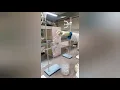 Organic Chemistry Experiment Synthesis of Isopentyl Acetate Banana Oil