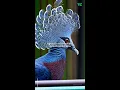 Download Lagu OpenAI's new text-to-video GenAI model Sora | TechCrunch