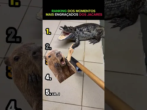 Ranking dos momentos mais engraçados dos jacarés!