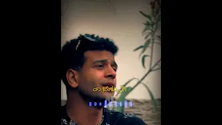 حالة واتس الأسود حلو لكن فى الهدوم مش فى النفوس سماره ناو حالات واتس سماره ناو البحيري ستوري 