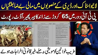 PTI Era Livestock Projects Under Fire! Rs 650M Irregularities Revealed | City 41