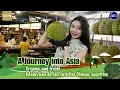 Download Lagu Creamy and fresh! Malaysian durian satisfies Chinese appetites