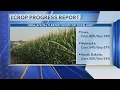 Crop Progress Report Update - 2026
