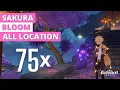 Genshin Impact 75x Sakura Bloom Location - Fast and Efficient - Detailed Map Included