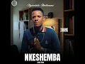 Download Lagu Ngixolele Mtanami ( Official Audio)