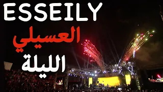 دخول تاريخي للعسيلي باغنية الليلة واستقبال غير مسبوق من الجماهير         دندنها