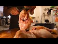 Download Lagu Tanaka Kasumi Aogami #2 Deba 180mm - vs. Chicken