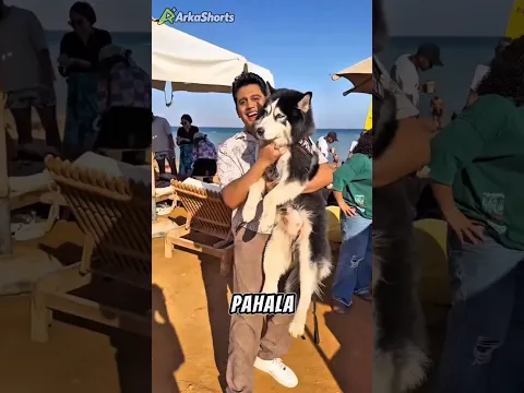 Benarkah Memelihara Anjing Bisa Mengurangi Pahala⁉️😱 #shorts