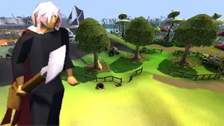 Hardwood Trees Farming Guide OSRS