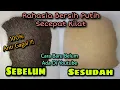 Download Lagu Cara Membersihkan Bulu Sapi/Kerbau Dengan Cepat ⁉️Bersih Putih Gampang Banget Dijamin Anti Gagal‼️