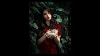       دندنها