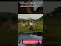 Download Lagu Watch This DJ Perform His New Song to a Crowd of Zebras, Giraffes and Lions