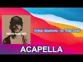 Dylan Marlowe - In This Boat (ACAPELLA) Vocals Only