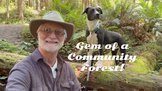 Hiking in the Redwoods 