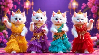 बिल्ली का डांस वीडियो | Cat videos | funny cat dance 😻💃| Videos for cats billi dance | #dancingcat