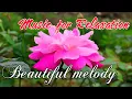 Download Lagu Music for Relaxation and helps reduce stress, Beautiful melody, Relaxing music beautifies the soul