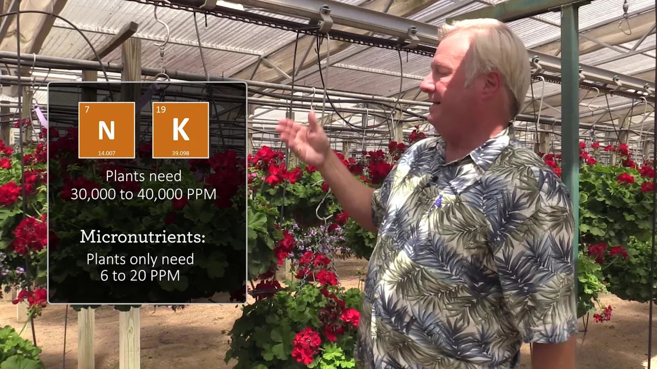 Plant Physiology for Growers, Part 4: Plant Nutrient Absorption
