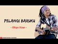 Download Lagu Pelangi Baruku - Dhyo Haw (Lirik Lagu)
