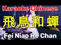Download Lagu Karaoke DJ Chinese l 飛鳥和蟬 l Fei Niao He Chan l Viethoa Karaoke