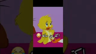 احسن قرار هتاخدة في حياتك حالات واتس مضحكه 