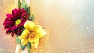 Best Golden Flowers Background | Download Free Video Background | DMX HD BG 319