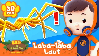 Laba-laba ini sulit ditemukan di bawah air! | Leo Si Penjaga Alam | #minisode