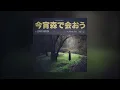 Lord Huron - Meet Me in the Woods (Live Acoustic)