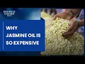 Why Jasmine Oil Is So Expensive So Expensive