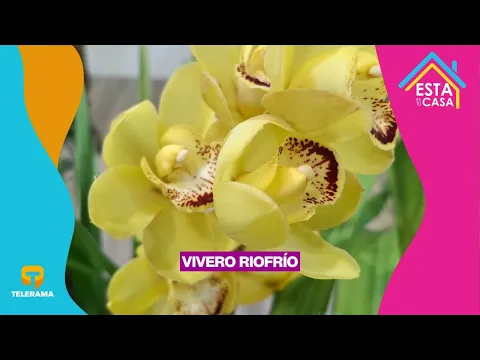 Vivero Riofrío