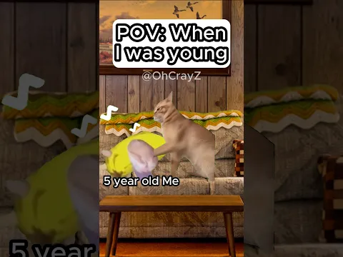 CAT MEMES 🐱 WHEN I WAS YOUNG #relatable #cat #wholesome #family #shorts