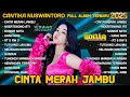 Download Lagu CINTA MERAH JAMBU - CANTIKA ADELLA FULL ALBUM TERBARU 2025 | OM ADELLA TERBARU 2025 FULL ALBUM