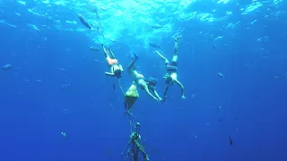 Brian black memorial.