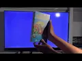 Opening To The Land Before Time 3 The Time Of The Great Giving 1995 VHS