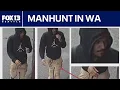 Search underway for Bikini Barista sex assault suspect FOX 13 Seattle