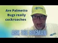 Are Palmetto Bugs Really Cockroaches Pest Control Lexington SC