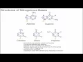 Structure of Nitrogenous Bases