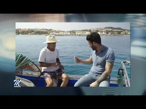 YouTube player