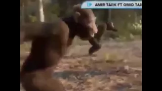 هوسات تحشيش تموت ضحك 