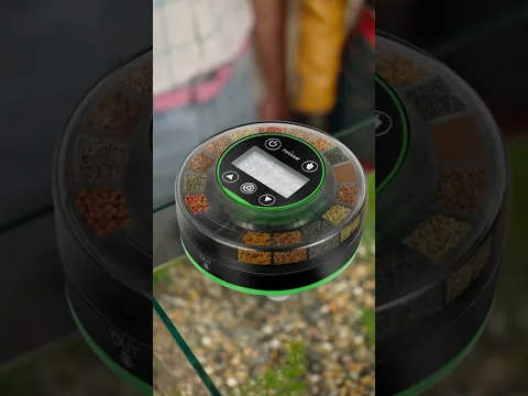 Amazon Products You Should Never See 😳