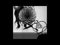 Demdike Stare - Dauerlinie