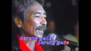 koes plus 11b ela elo