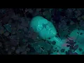 Mild Minds - 'HAUNTED' (Official Visualiser)