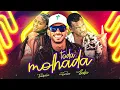 Lagu MC TOCHA, MC BABU, MC THAIZINHA - TODA MOLHADA - REMIX BREGA FUNK