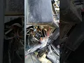 Fixed a 00 Kenworth t800 flasher relay
