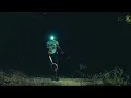 Koe Wetzel - Ronnie Ray (Official Visualizer)