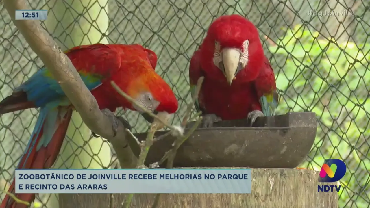 Zoobotânico de Joinville recebe melhorias no parque e no viveiro das araras