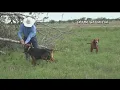 Aransas County Manhunt